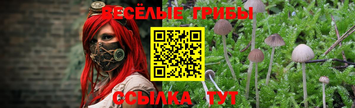 купить закладку  Вход с VPN  Рязань  Галлюциногенные грибы Magic Shrooms 